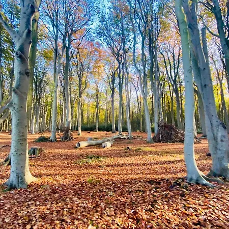 Appartement-boergerende Lägenhet