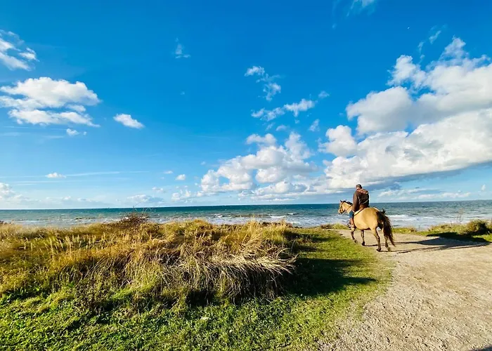Appartement-boergerende Apartment *
